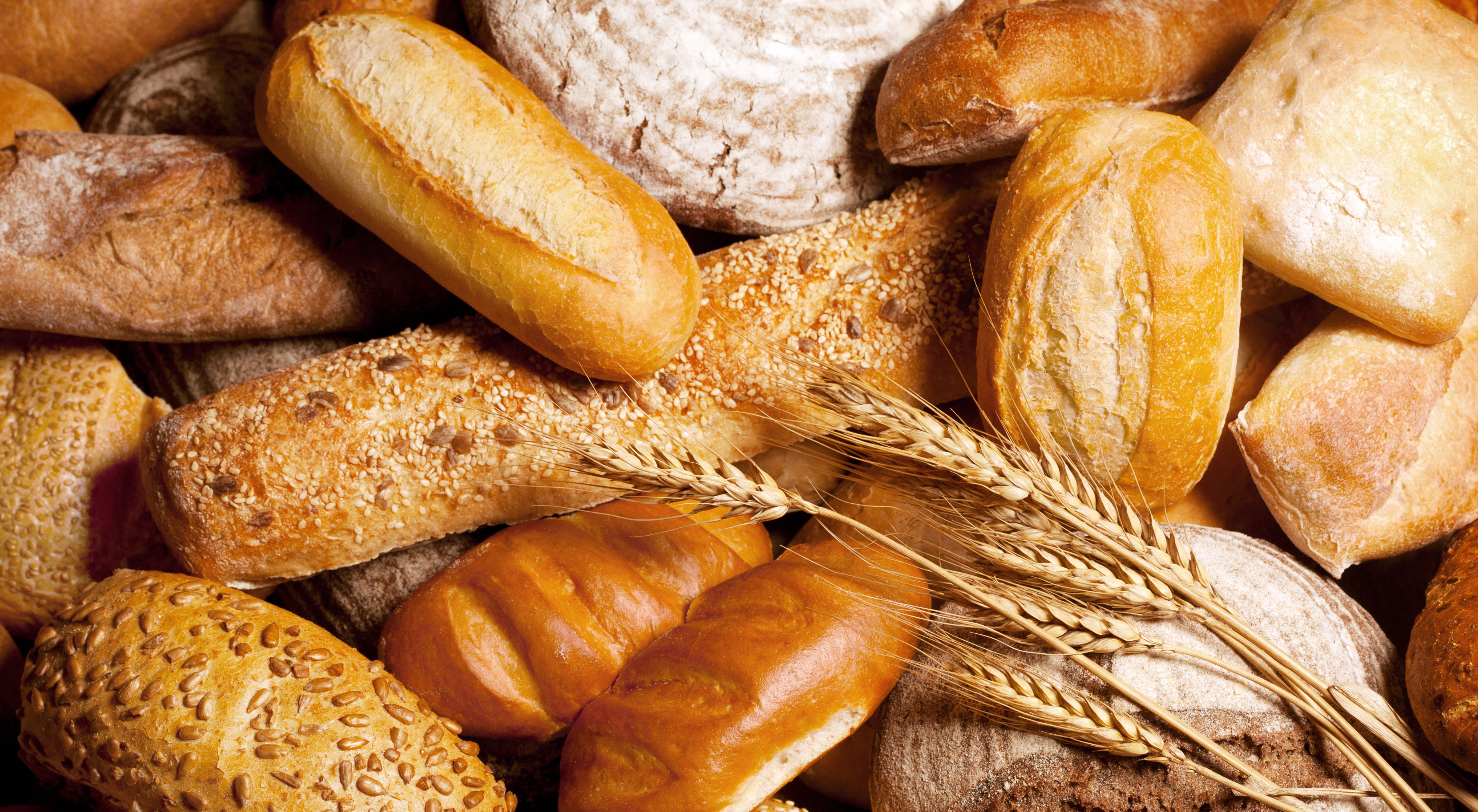 Surveillance des Fusariotoxines