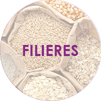 Filières