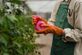 Pesticides
