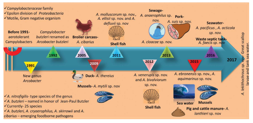 Figure1_Arcobacter