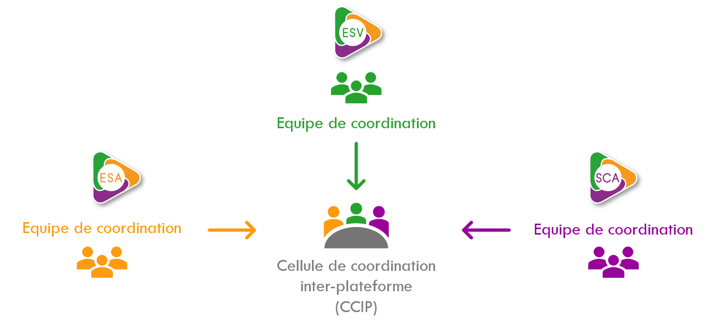 Cellule de coordination inter-plateformes