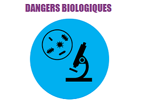 Les dangers biologiques