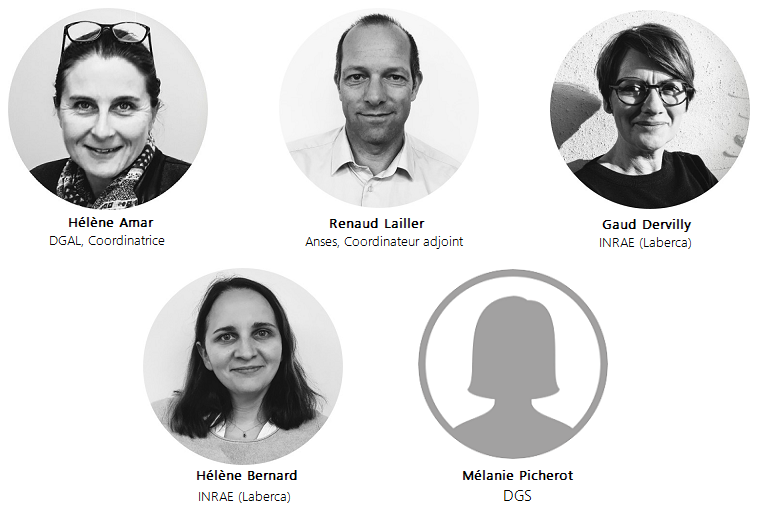 Equipe de coordination Plateforme SCA