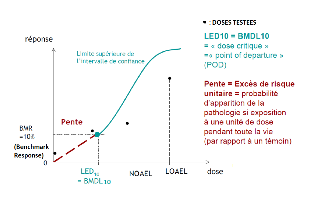 Représentation graphique de l'extrapolation aux faibles doses pour déterminer l'ERU, d’après [12]