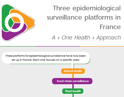 Flyer des trois plateformes d'épidémiosurveillance