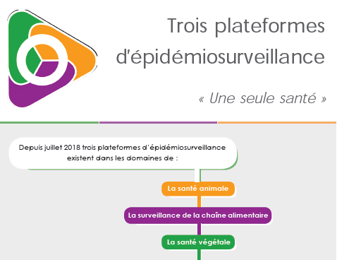 Flyer en frnçais des trois plateformes ESA ESV SCA