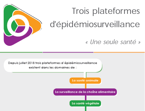 Flyer des trois plateformes d'épidémiosurveillance