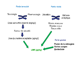 La détermination des LMR des médicaments vétérinaires (d’après ANMV, Anses)