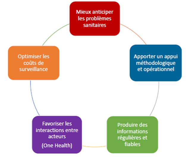 Les missions de la Plateforme SCA