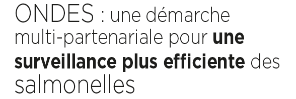 Une démarche multi-partenariale pour une surveillance plus efficiente des salmonelles