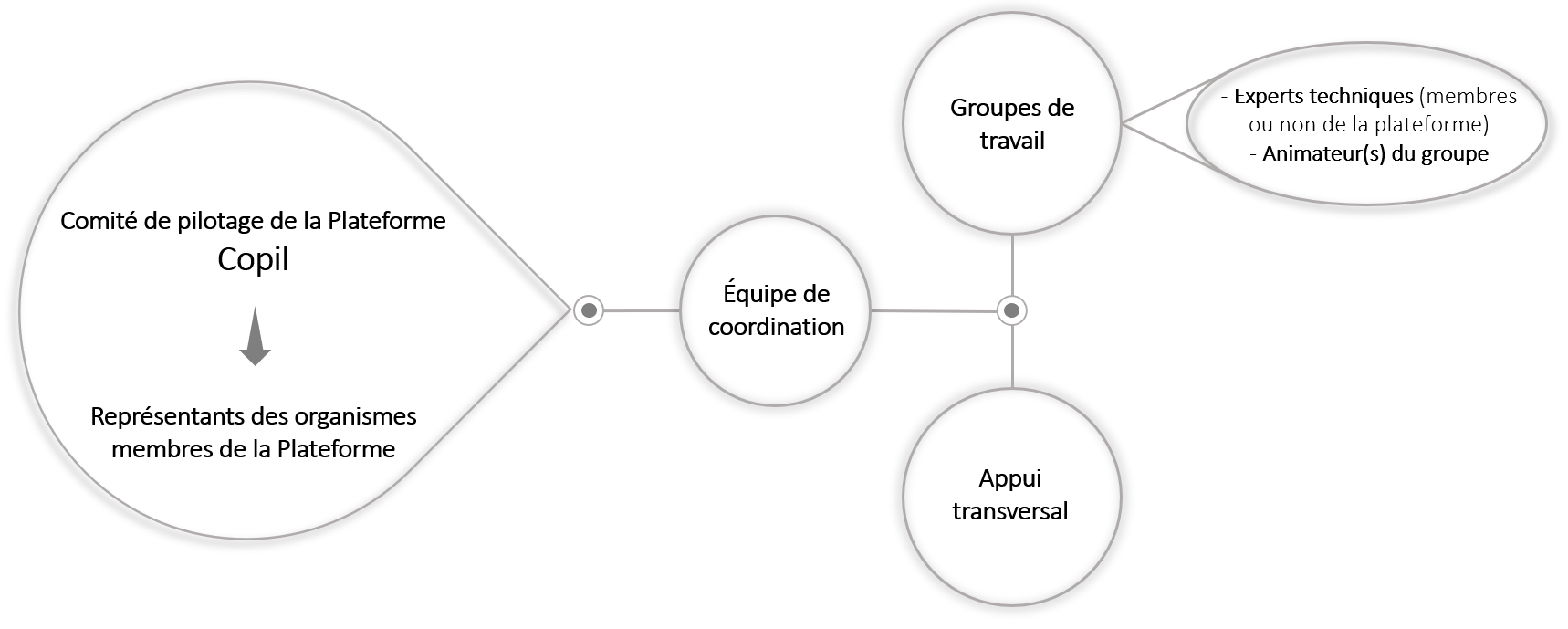 Organisation fonctionnelle générale des Plateformes simplifiée