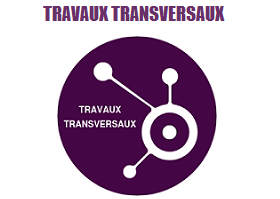 Les travaux transversaux