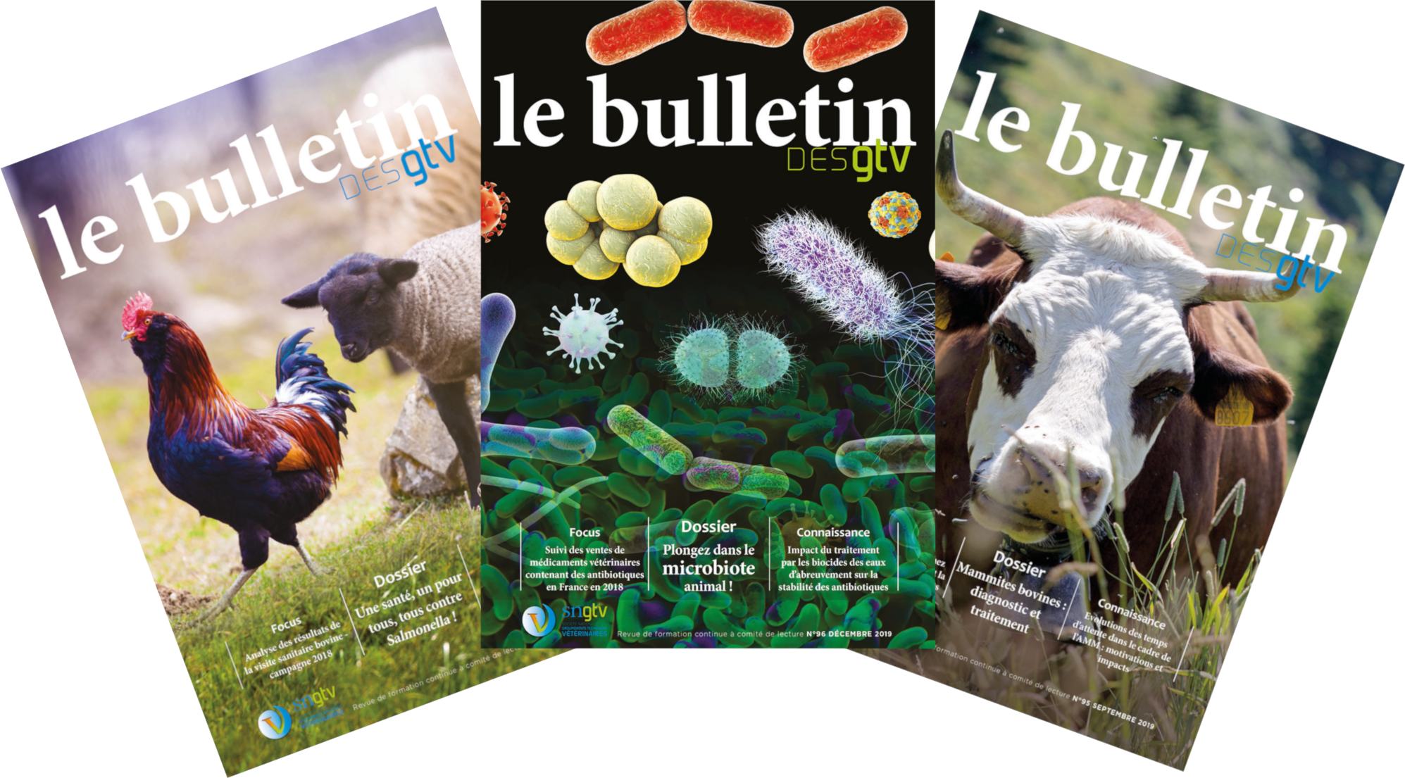 Bulletin des GTV