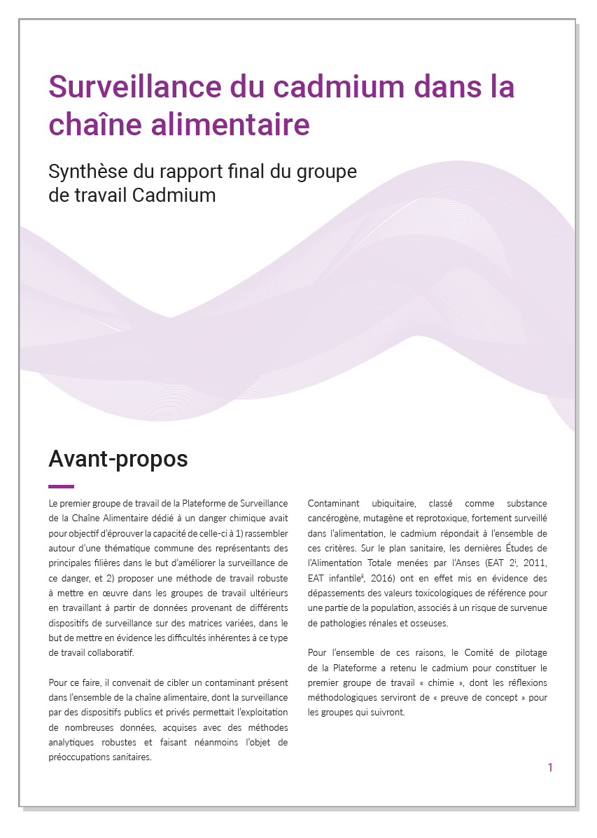 decument présentation rapport