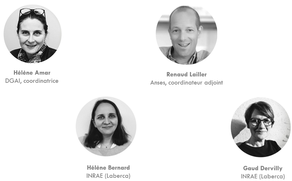 participants de l'équipe de coordination de la Plateforme SCA