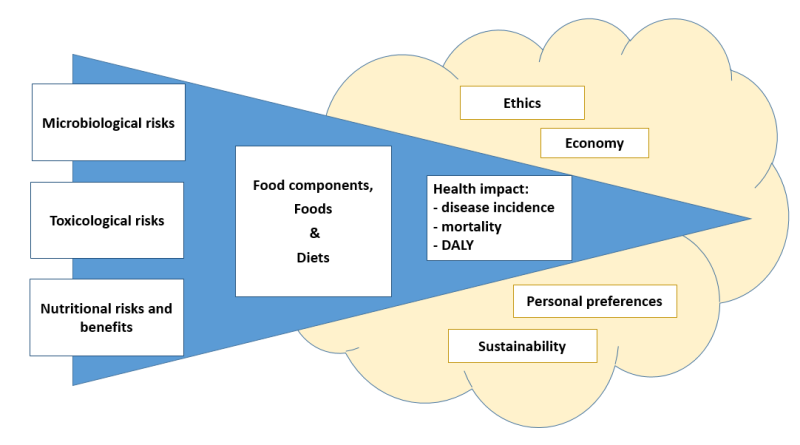 Figure 3: Les DALYs au sein d’autres critères de prise de décision