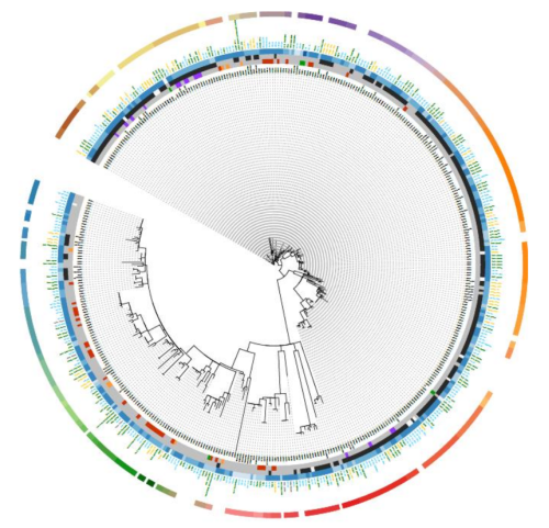 séquençage complet du génome
