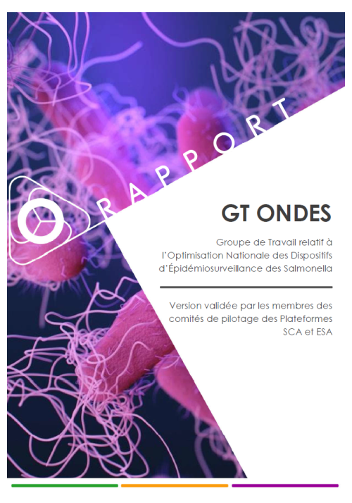 GT ONDES Couverture rapport