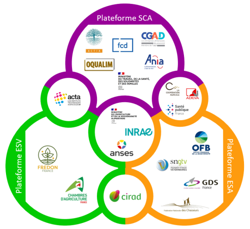 schéma membres trois plateformes