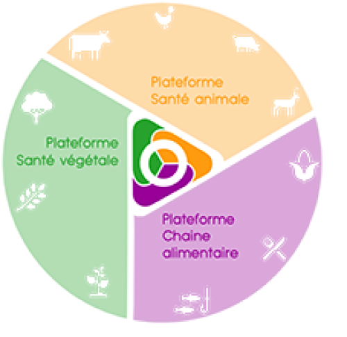 schéma trois plateformes