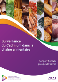 Rapport final du groupe de travail Cadmium