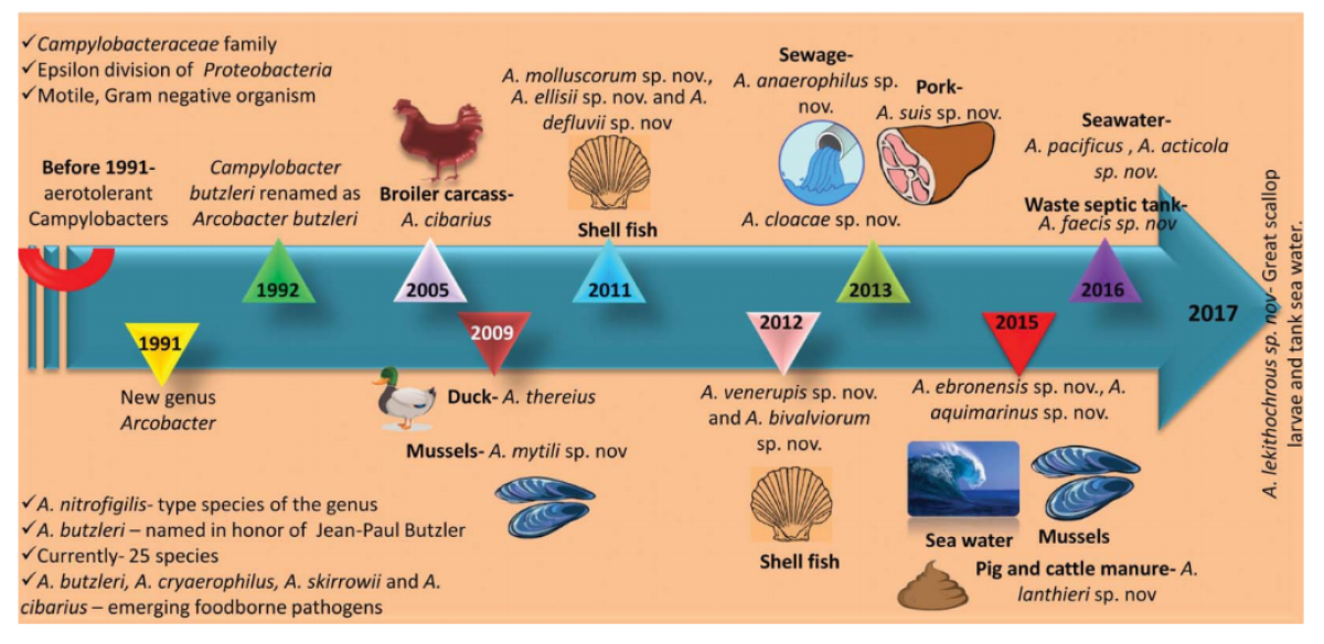 Figure 1 : Évolution et émergence des Arcobacter