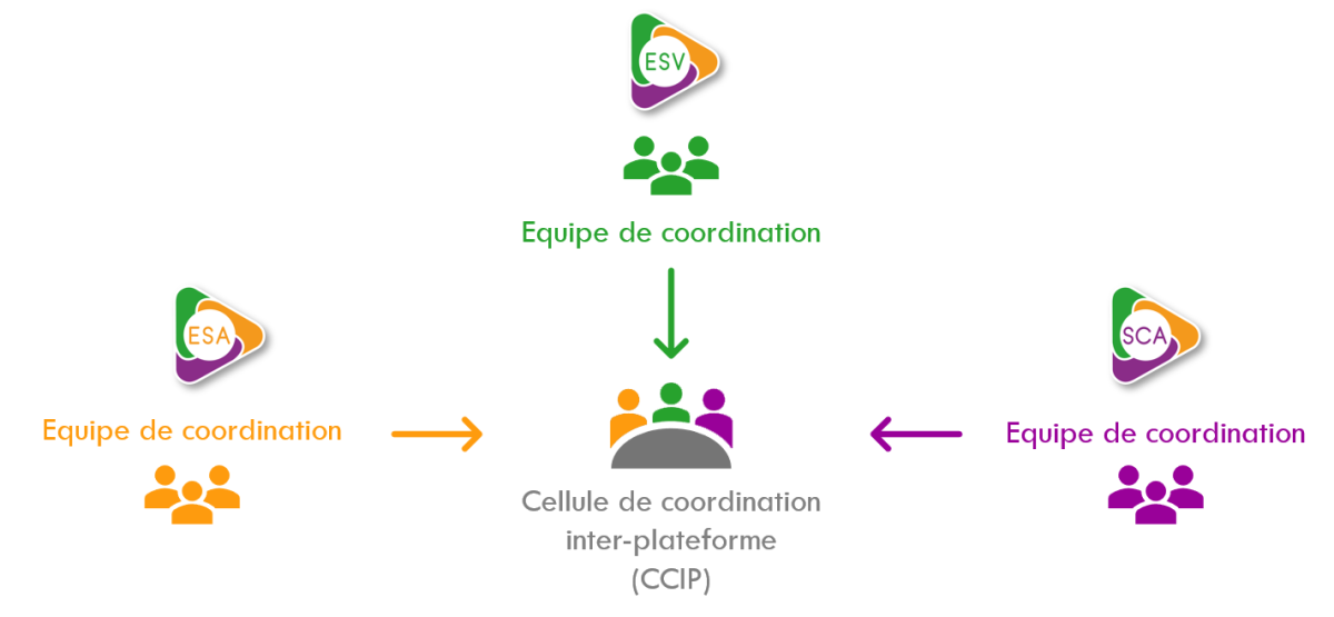 Cellule de coordination inter-plateformes