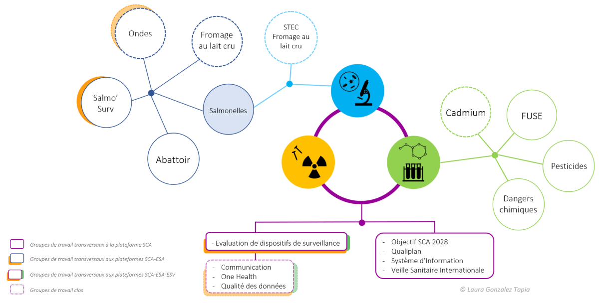  schéma gt sca 06_2025