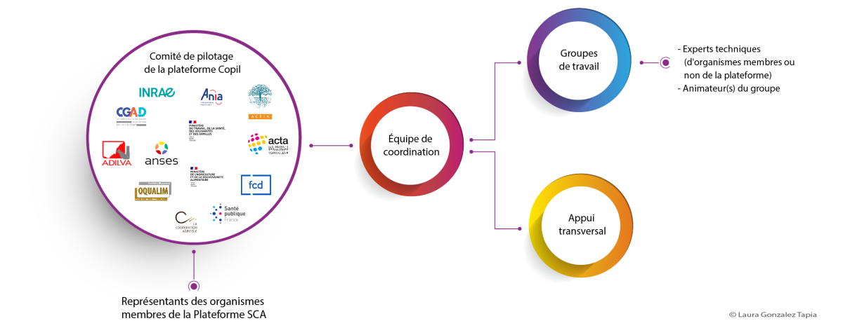 schéma organisation PSCA