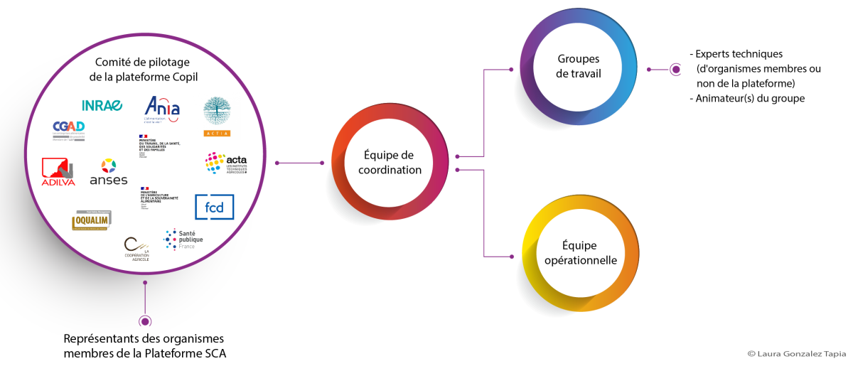schéma organisationnelle de la PSCA_MAJ_09_2025