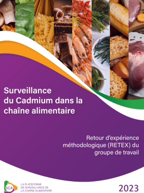 Retour d’expérience méthodologique (RETEX) du groupe de travail Cadmium