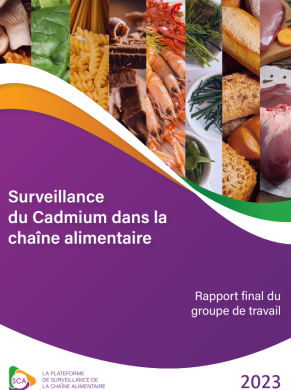 Rapport final du groupe de travail Cadmium