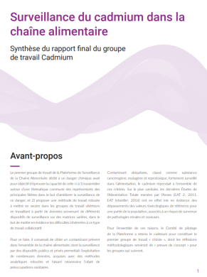 Synthèse rapport gt Cadmium VF