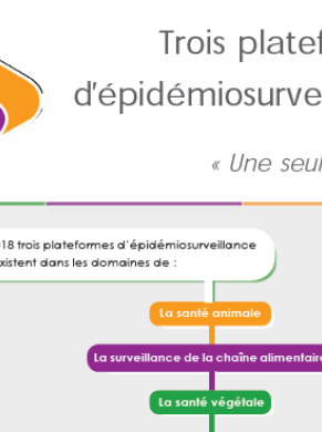 Flyer trois plateformes version française