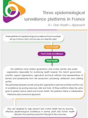 Trois Plateformes flyer EN