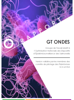 GT ONDES Couverture rapport