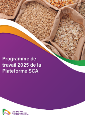 programme travail 2025