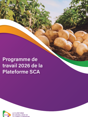 programme de travail 2026