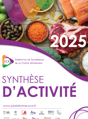 synthèse d'activité