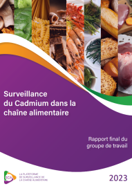 Rapport final du groupe de travail Cadmium