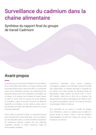 Synthèse rapport gt Cadmium VF