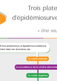 Flyer trois plateformes version française