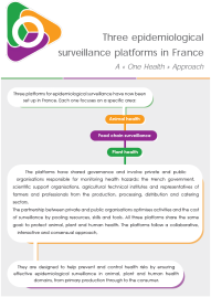 Trois Plateformes flyer EN