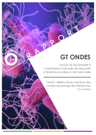GT ONDES Couverture rapport