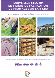 STEC fromage au lait cru