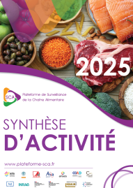 synthèse d'activité