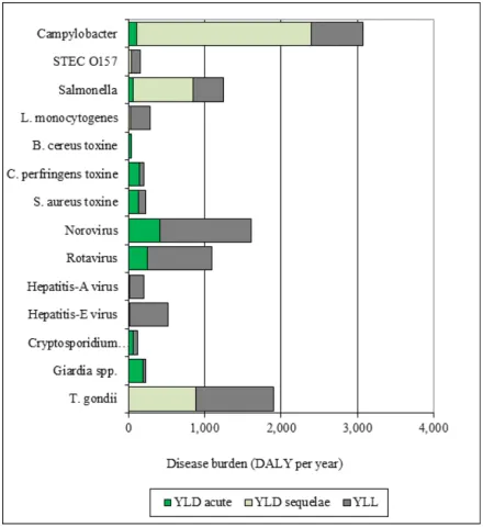 Figure 2: DALYs moyen par an pour 14 dangers microbiologiques associés à une transmission alimentaire aux Pays-Bas