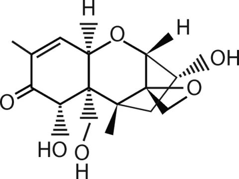 Déoxynivalénol (DON)