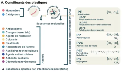 Constituants_des_plastiques@LucileWargniez