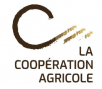 Logo LCA